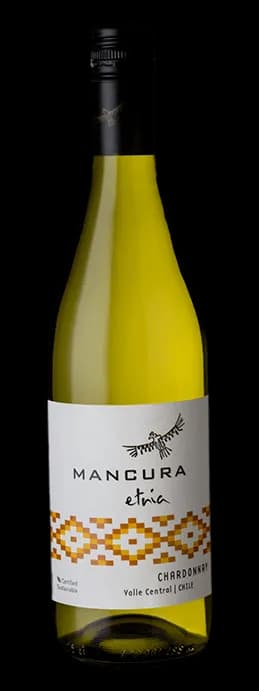 Etnia Chardonnay 2024