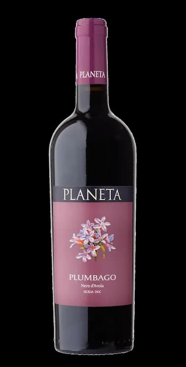 Plumbago Sicilia DOC 2019